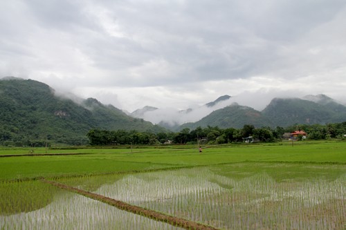 Mai Châu bình yên